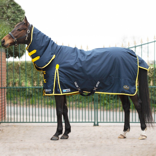 Gallop Trojan Duraproof 200g Combo Turnout