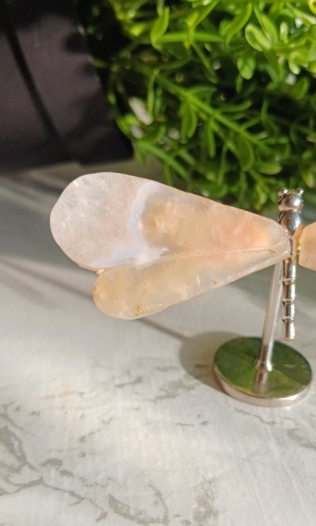 Flower Agate Dragonfly on Stand