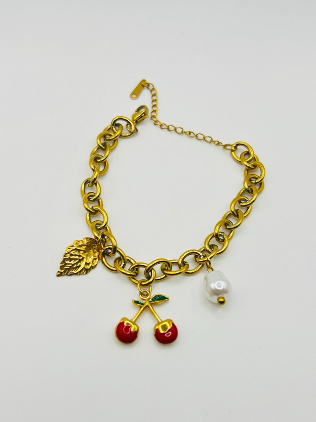 Stainless Steel Bracelet (SSB17J)