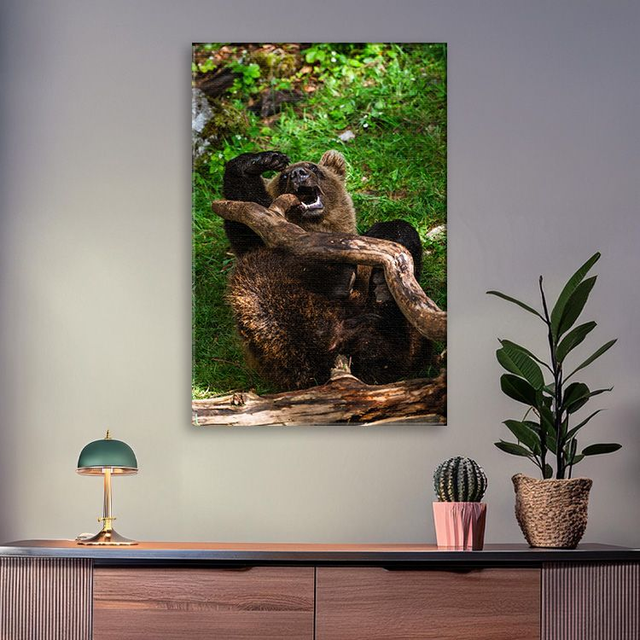 Ours &#039;Tanie&#039; qui joue - Faune - Toile