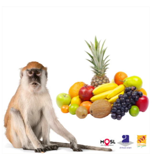 FONDANT PET DE SINGE