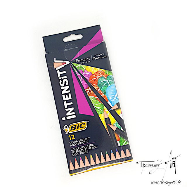 BIC - CRAYONS DE COULEUR INTENSITY PREMIUM PAR 12 - CR005