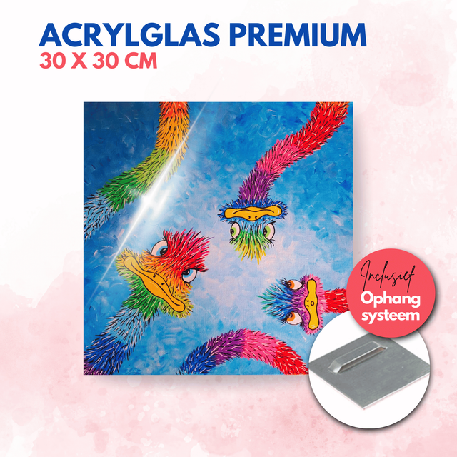 Struisvogel 3 | Acrylglas premium