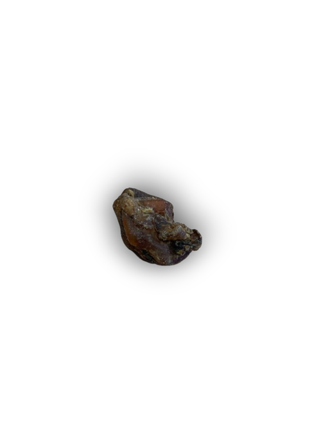 ANCO NATURALS BULLY BITES 100G