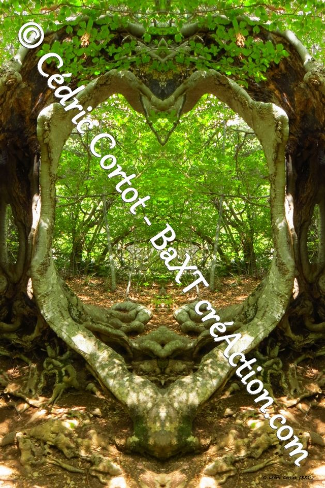 Impression sur alu dibond - Entre réel et irréel (ref 3896 1-2)