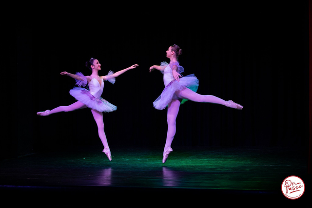 Propedeutica 11-14 anni