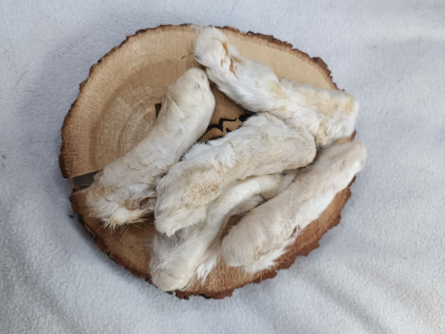 Pattes de lapin avec poils X5