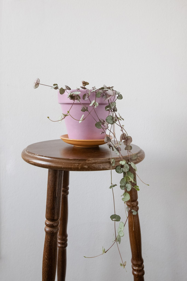 Pot handmade 'Bicolor Juicy' 🧩 Mix & Match