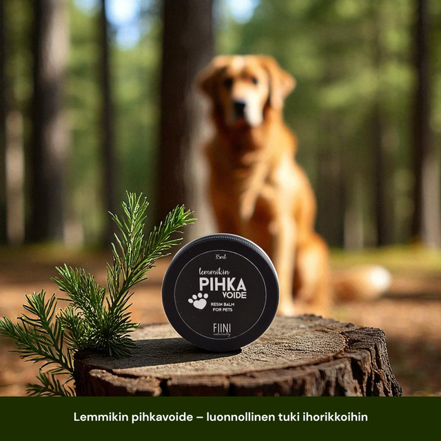 Lemmikin pihkavoide – luonnollinen tuki ihorikkoihin 