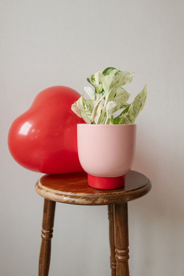 Pot rose poudré &amp; rouge  🧩 Mix &amp; Match