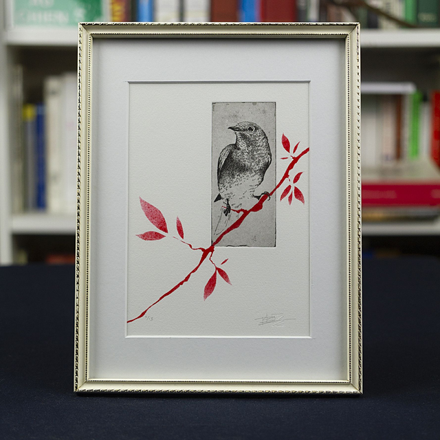 Fine art etching / Vintage Frame / Eastern Bluebird