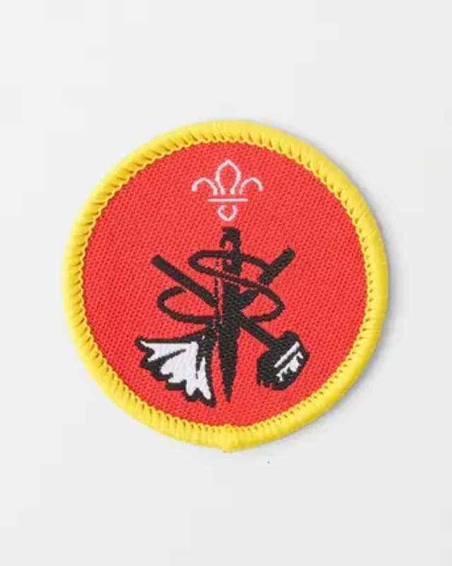 Cubs Activity Badge - Home Help