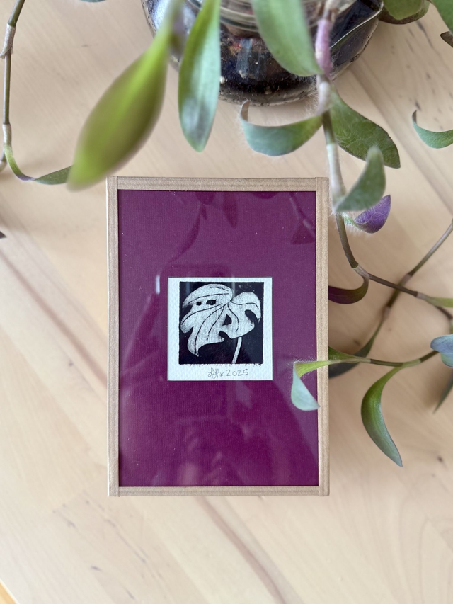 Monstera ajourée - Petite estampe encadrée 10x15 cm 