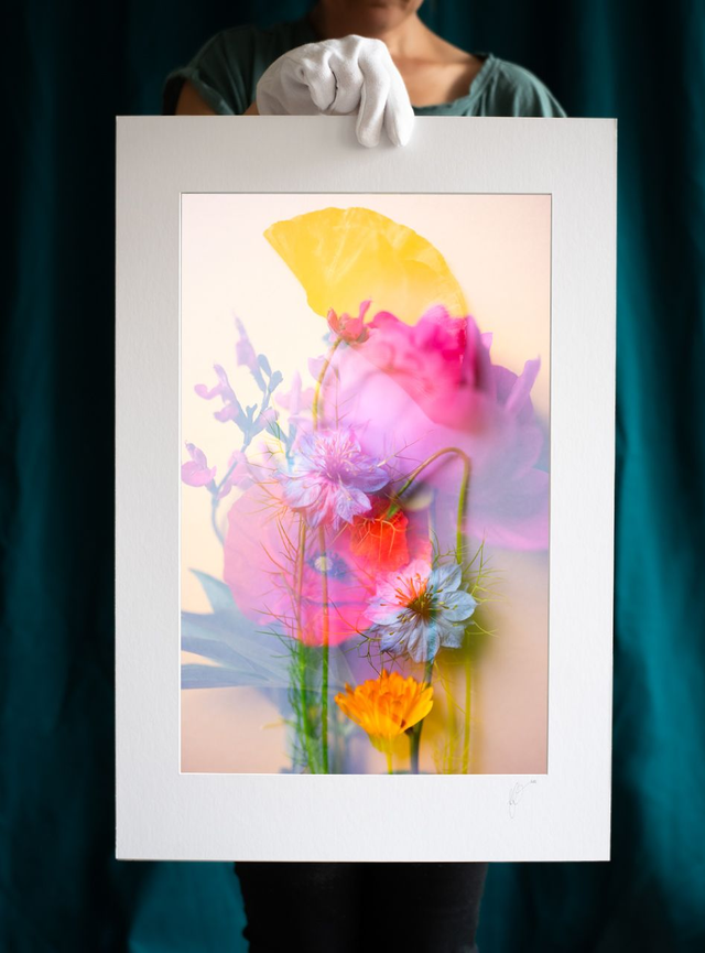 Collection du printemps * 11