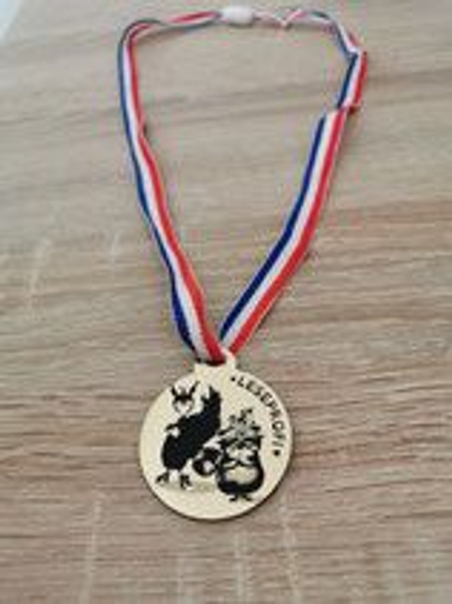 Leseprofi - Goldmedaille