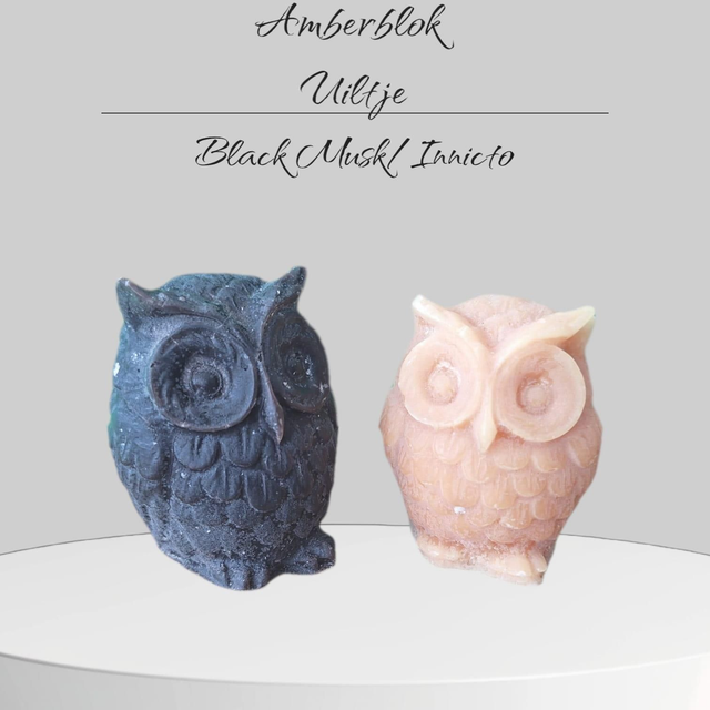 Amber uiltje black opium 