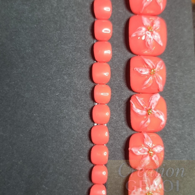 Corail sun flower little pieds