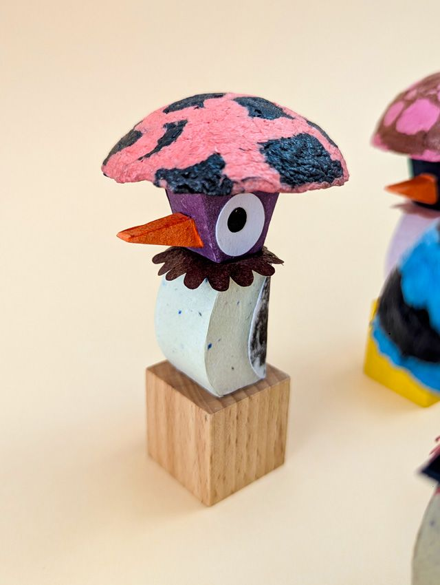 Cuicui Champi Numéro 7