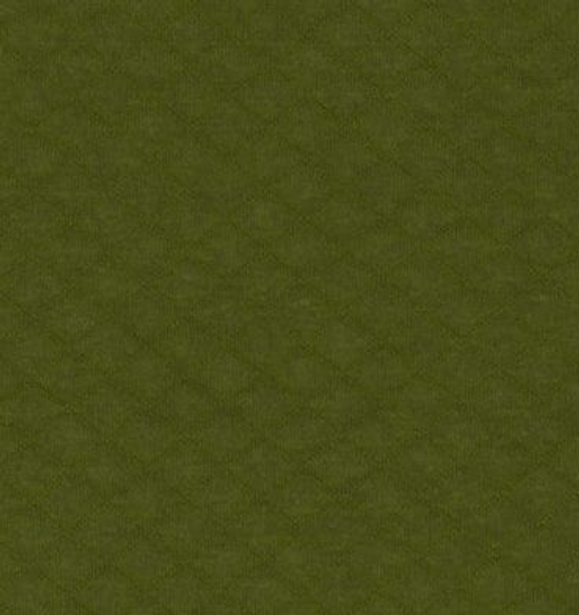 Tricot Gauffré Vert-  Light & Lush