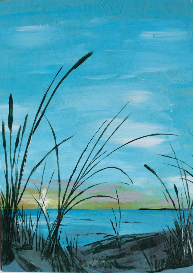 Kijkje door het riet