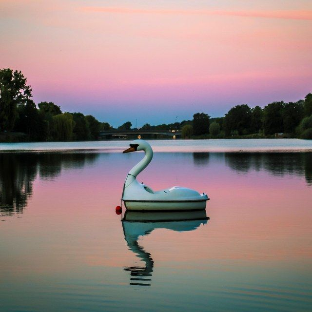Schwanentretboot auf dem Aasee