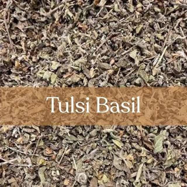 Tulsi: The Sacred Holy Basil of Divine Protection