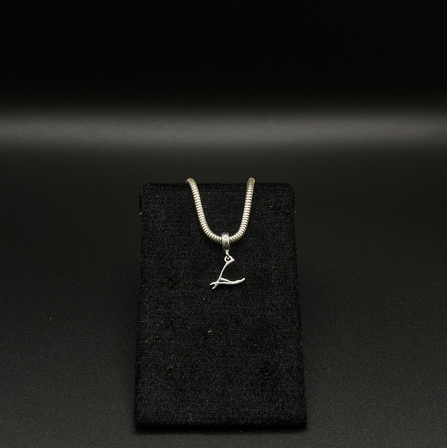 Berloque prata alicate