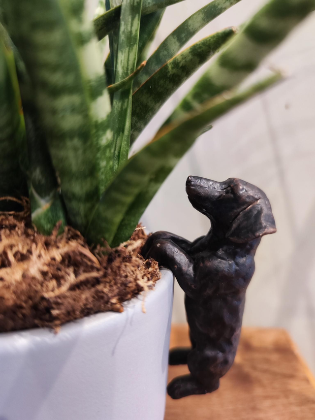 Dachshund Pot Hanger
