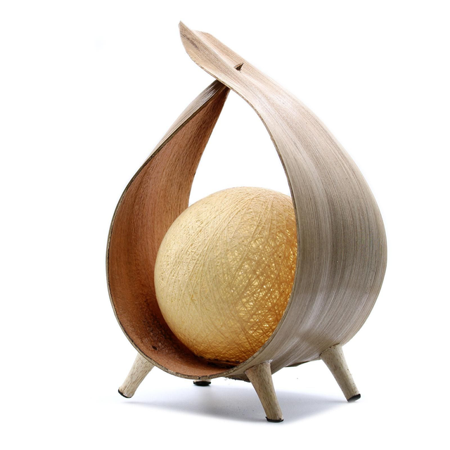 Funky contemporary Coconut shell table lamp 