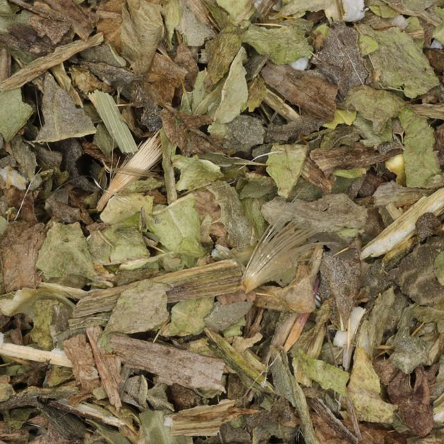 Mariadistel kruid (milk thistle herb) (Silybum marianum) - BIO