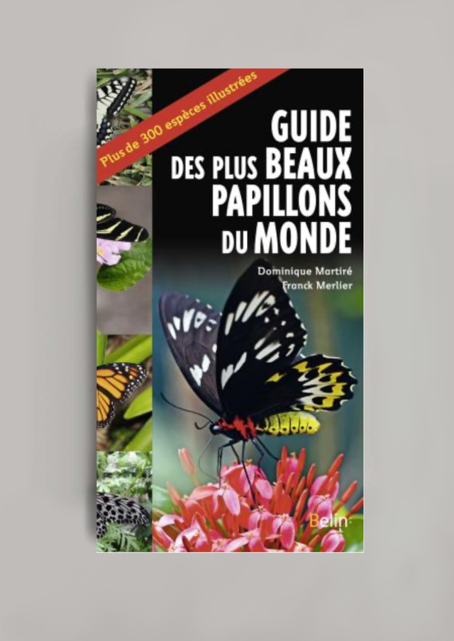 Guide des plus beaux papillons du monde (BELIN:)