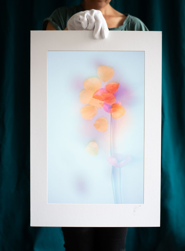 Collection du printemps * 8