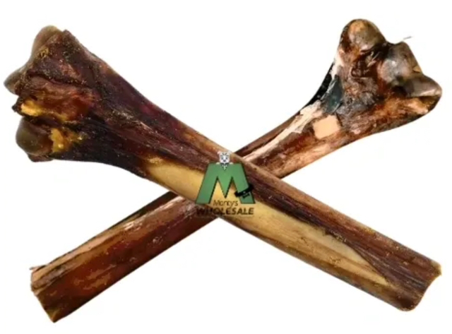 Ostrich Metatarsus Bone