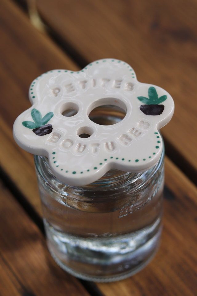 Pour de jolies boutures : Le disque de bouturage