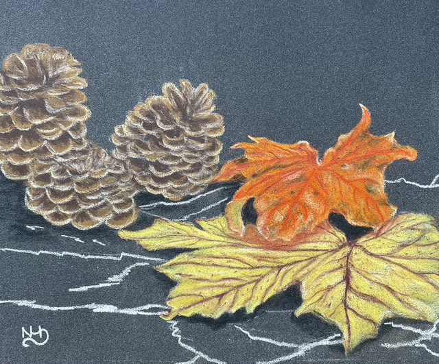Cones and Leaves