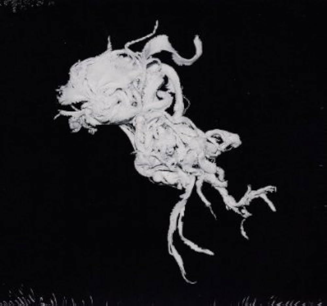 Light Damage - Light Damage [CD]/DMW