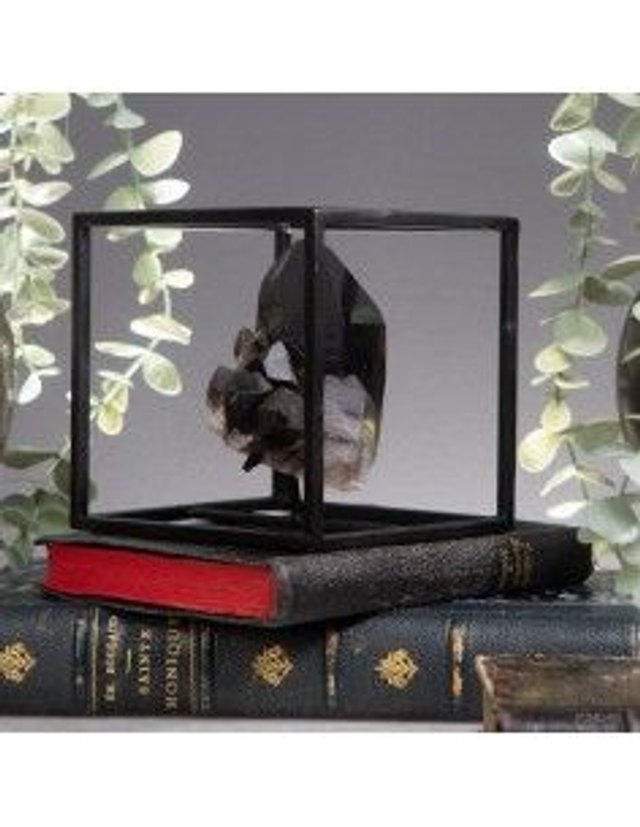 Quartz noir multipointe