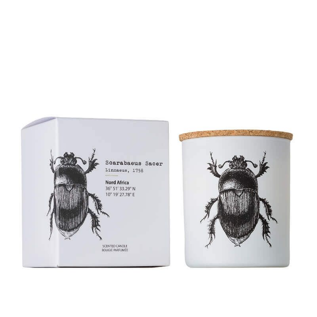 VELA 190GR.INSECTOS SCAR