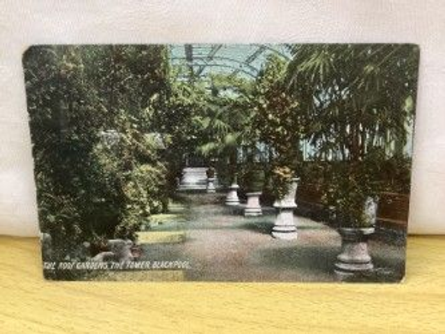The Roof Gardens, The Tower, Blackpool, Lancashire, Posted 1909 unbranded antique postcard. No. R454 £2.50