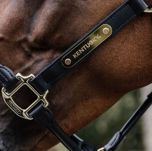 Kentucky Horsewear Anatomic Leather Headcollar