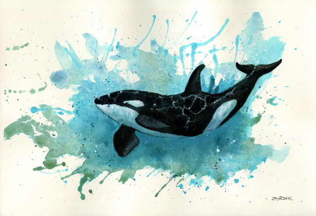 Original / Orca No.3 - Spendenbild
