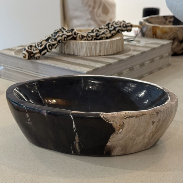 Petrified Wood Bowl | Oval