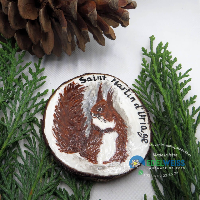 Saint Martin d'Uriage - écureuil dans la neige