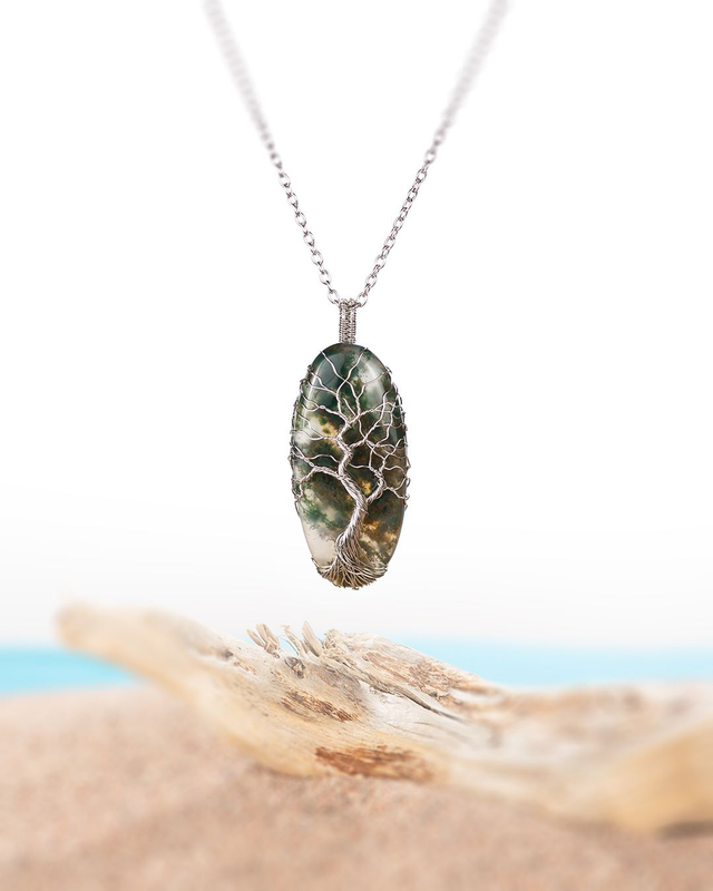 Sammalakaatti ja lehmus