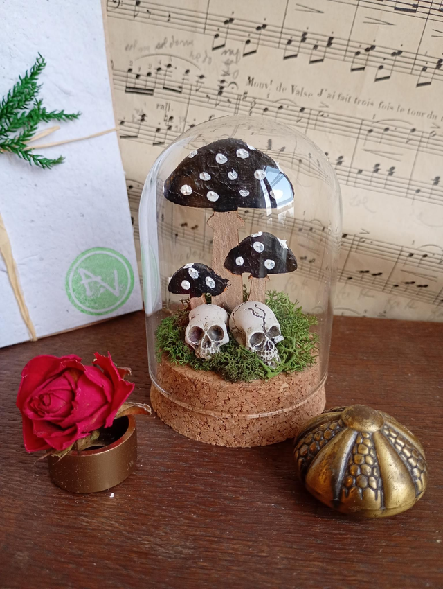 D26 le champi-crâne 