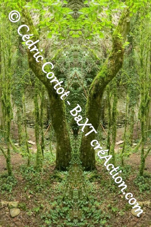 Impression sur alu dibond - Entre réel et irréel (ref 2052-4)