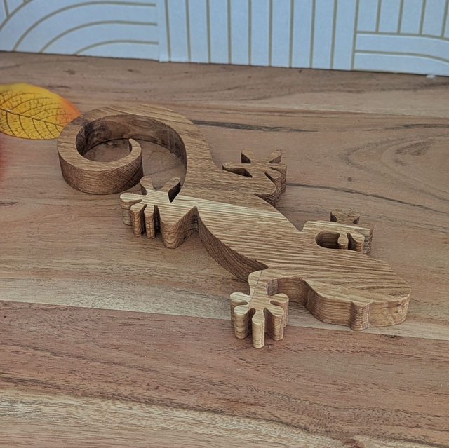 Salamandre en chêne