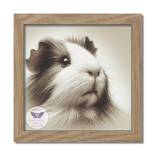 Artistic image of guinea pig in square frame (GP02)