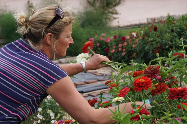 Pick and arrange sessions during St Davids Open Gardens weekend