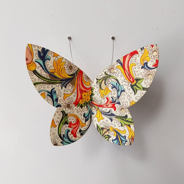 Spécimens série Volutes